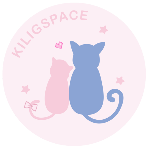 kiligspacestore